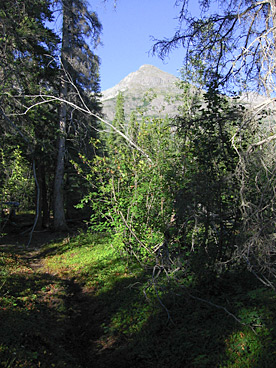 backcountry